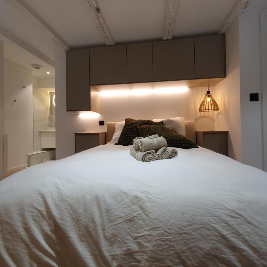 Les Appartements Hyper Centre Strasburgo Esterno foto