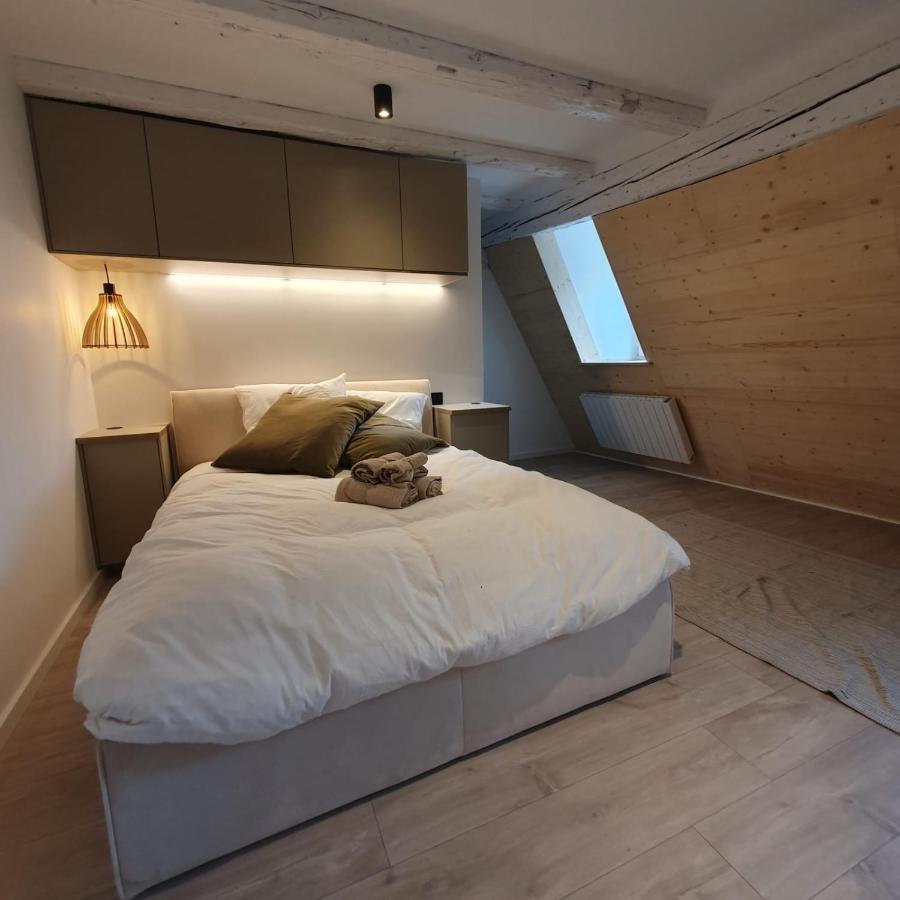 Les Appartements Hyper Centre Strasburgo Esterno foto