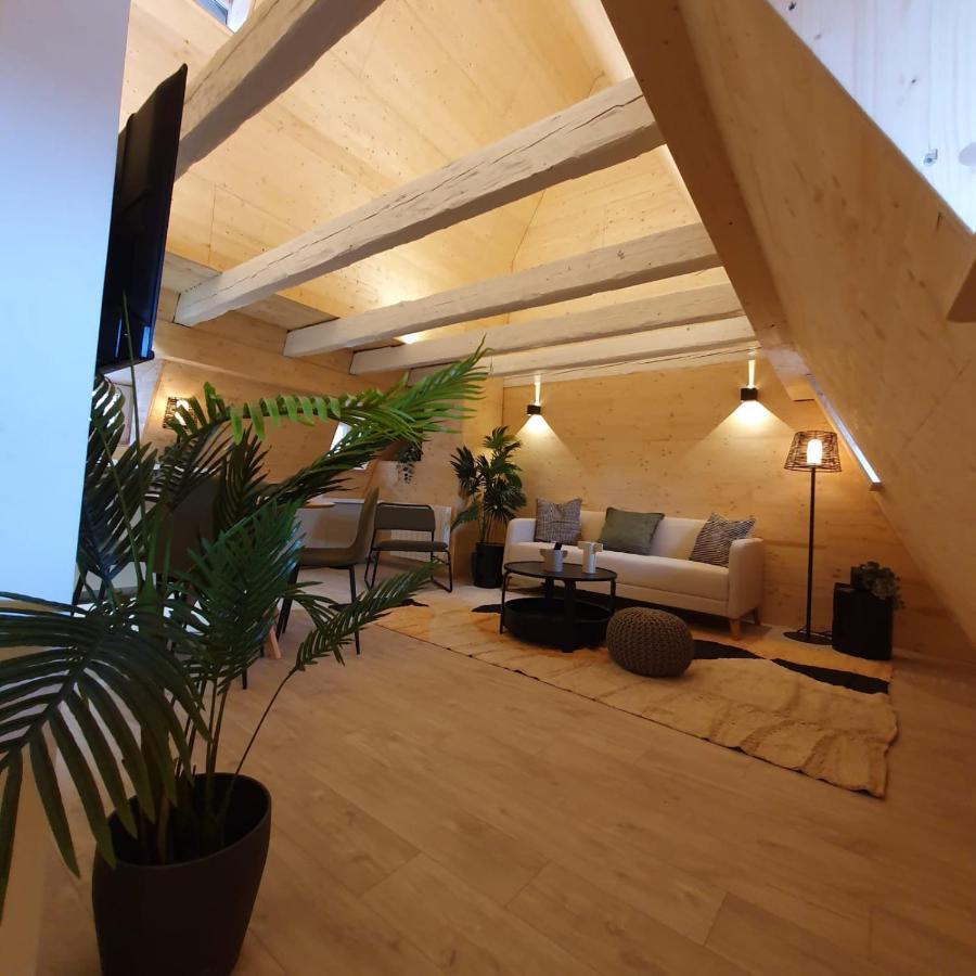 Les Appartements Hyper Centre Strasburgo Esterno foto