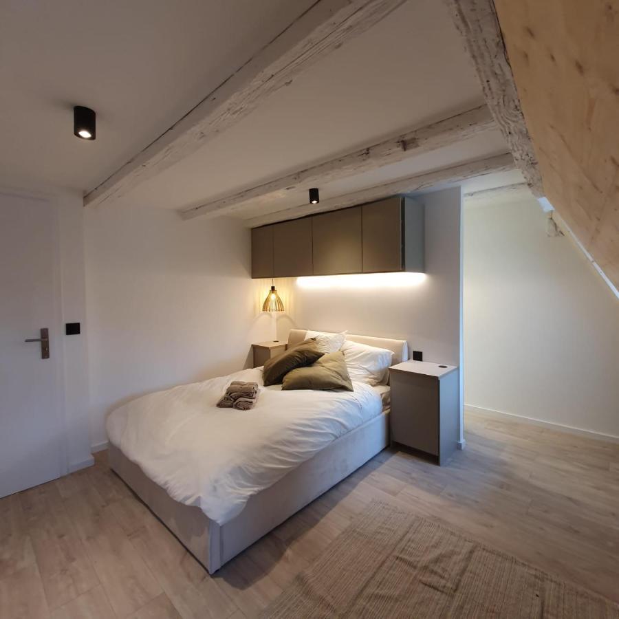Les Appartements Hyper Centre Strasburgo Esterno foto